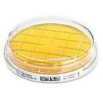 1.46253.0020 Violet Red Bile Dextrose Agar 20 146253 20PACK Merck(メルクミリポア)