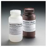 WBKLS0100 Immobilon Western Chemiluminescent HRP Substrate， 2×50mL 1SET Merck(メルクミリポア)