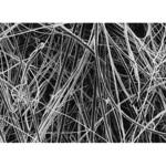 AP4014250 Glass fiber disc w/o binder AP40 142mm 50/Pk 50PK Merck(メルクミリポア)