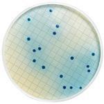 MB000000R Rosolic Acid Dehydrated bottle 25g 1/Pk 1ST Merck(メルクミリポア)
