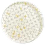 MB000000T TGE Broth Dehydrated bottle 110g 1/Pk 1ST Merck(メルクミリポア)