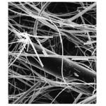 AP1507500 Glass fiber disc w/binder AP15 75mm 100/Pk 100PK Merck(メルクミリポア)