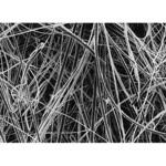 APFB15050 Glass Fiber Disc without binder， APFB， 150 mm； 50/Pk 50PK Merck(メルクミリポア)