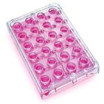 PSRP010R5 Millicell-24 Cell Culture Plate， PET 1.0μm 5/Pk 5PK Merck(メルクミリポア)