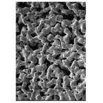 AG4502550 Silver membrane 0.45μm 25mm 50/Pk 50PK Merck(メルクミリポア)