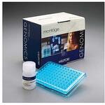 LSKS09624 Montage SEQ96 Cleanup Kit 24/Pk 24PK Merck(メルクミリポア)