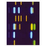 1.05738.0001 TLCガラスプレート キーゼルグール F254 25 枚， 20×20cm 105738 1ST Merck(メルクミリポア)