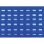 1.15423.0001 TLCガラスプレート RP-18 F254s 50 枚， 10×20 cm 115423 1ST Merck(メルクミリポア)