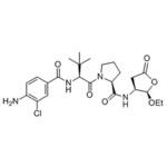 1.53172.0001 Chromolith (R) Performance DIOL 100-4.6 monolithic HPLC column 153172 1ST Merck(メルクミリポア)