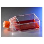 超低接着表面フラスコ コーニング