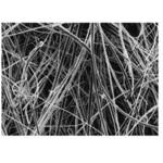 AP4002500 AP40 GL FLTR 25MM 100PK Merck(メルクミリポア)