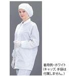 クリーンウエア 6003 ブルー MCC(MaxClean)