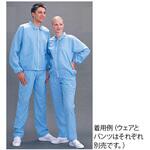 クリーンゾーンパンツ 女性用 ブルー PL6502/Bシリーズ MCC(MaxClean)