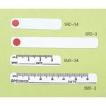フォトグラフィーラベル シャムロック