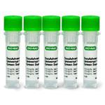 1725271 SsoAdvanced Universal SYBR Green Supermix BIORAD