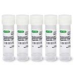 SsoAdvanced Universal Probes Supermix BIORAD