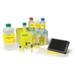 Bio-Plex Pro セルシグナリング LQシリーズ BIORAD