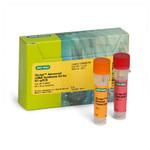 iScript Advanced cDNA Synthesis kit BIORAD