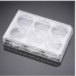 PureCoat ECM Mimetic コラーゲンI FALCON