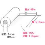 ロール紙 サンワダイレクト