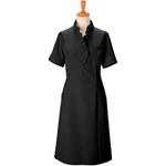 ワンピース 00110 ボストン商会