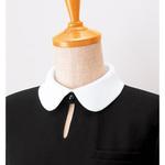 替カラー 18202 ボストン商会