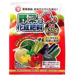 野菜が実る化成肥料 東商