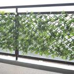 リーフラティス YAMAZEN(山善)