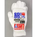 綿どころ薄手純綿手袋 FUKUTOKU