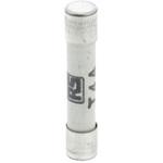 721-1601 RS Pro セラミック管ヒューズ (タイムラグ) 4A 6.35 x 32mm 6.3 x 32mm 500V ac RS PRO