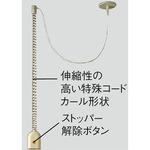 リーラーコンセント 天井面取付タイプ Panasonic(パナソニック