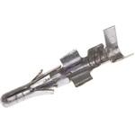 Molex 圧着端子コンタクト オス STANDARD .093 日本モレックス(molex)