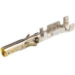 Molex 圧着端子コンタクト メス MICRO-FIT 3.0シリーズ 日本モレックス(molex)