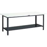 LEWP0960LT2 LEWP型軽量作業台下棚2枚付 TRUSCO