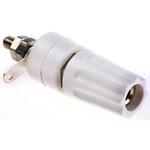 423-251 RS Pro 4 mmソケット (メス)， 白， ニッケルめっき RS PRO