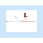 のし紙 十本結切 祝字なし 日の出紙工