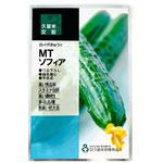 【タネ】MTソフィア 久留米原種育成会