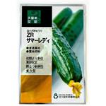 【タネ】ZRサマーレディ 久留米原種育成会