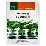 【タネ】ハイパー昇竜 久留米原種育成会
