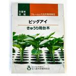 【タネ】ビッグアイ 久留米原種育成会