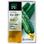 【タネ】ビュースター 久留米原種育成会