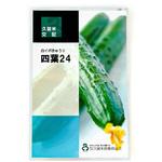 【タネ】四葉24 久留米原種育成会