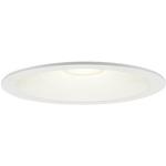 LSEB5615LE1 LEDダウンライト100形電球色 Panasonic(パナソニック)
