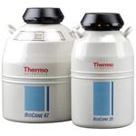 CK509×6 サーモライン バイオケーン73 Thermo Fisher Scientific