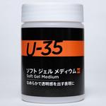 U-35 ターナー色彩