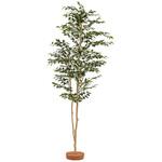 GD-245 人工植物 サザンカ   鉢無 1.8m タカショー