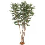 GD-220 人工植物 トネリコ株立    2.2m タカショー