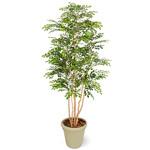 GD-151 人工植物 新トネリコ   5本立 1.8m タカショー