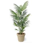 人工植物 アレカヤシ タカショー