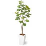 人工植物 ウンベラータ タカショー